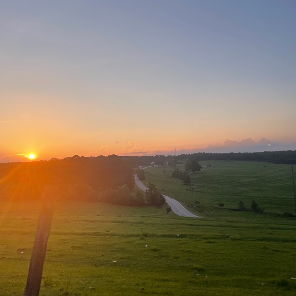 Meet your Posher, Ava - Picture 4 of 10